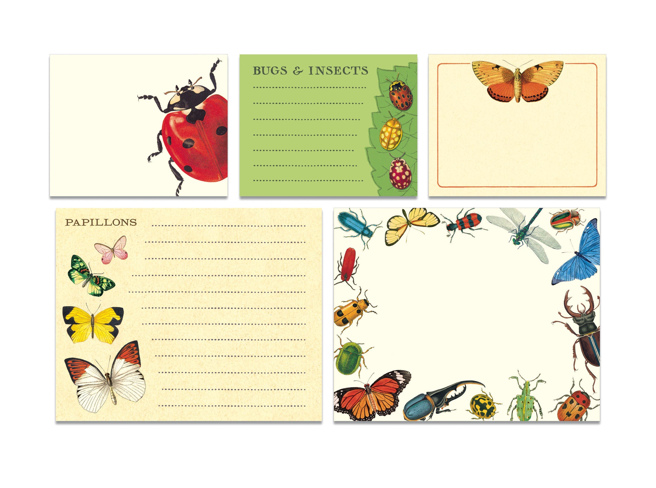 Cavallini & Co. Sticky Notes Tin- Bugs & Insects- five designs shown