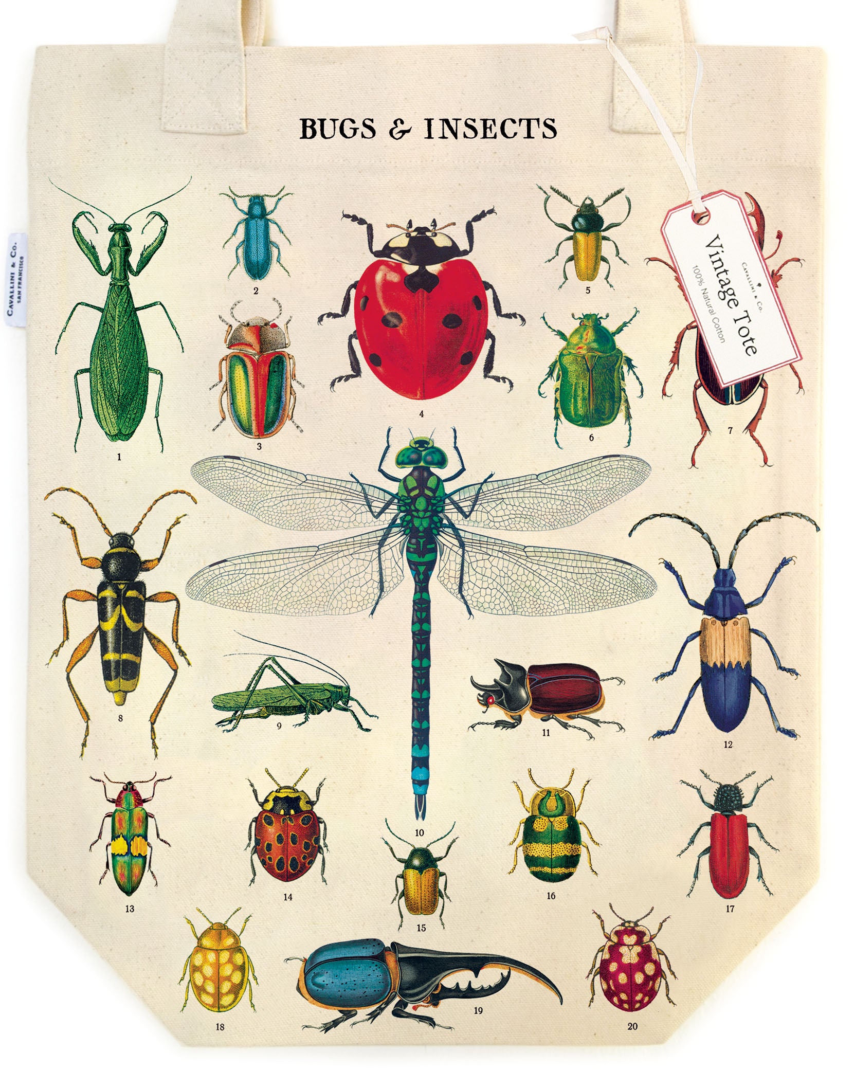 image of Cavallini & Co. Bugs & Insects Cotton Tote Bag