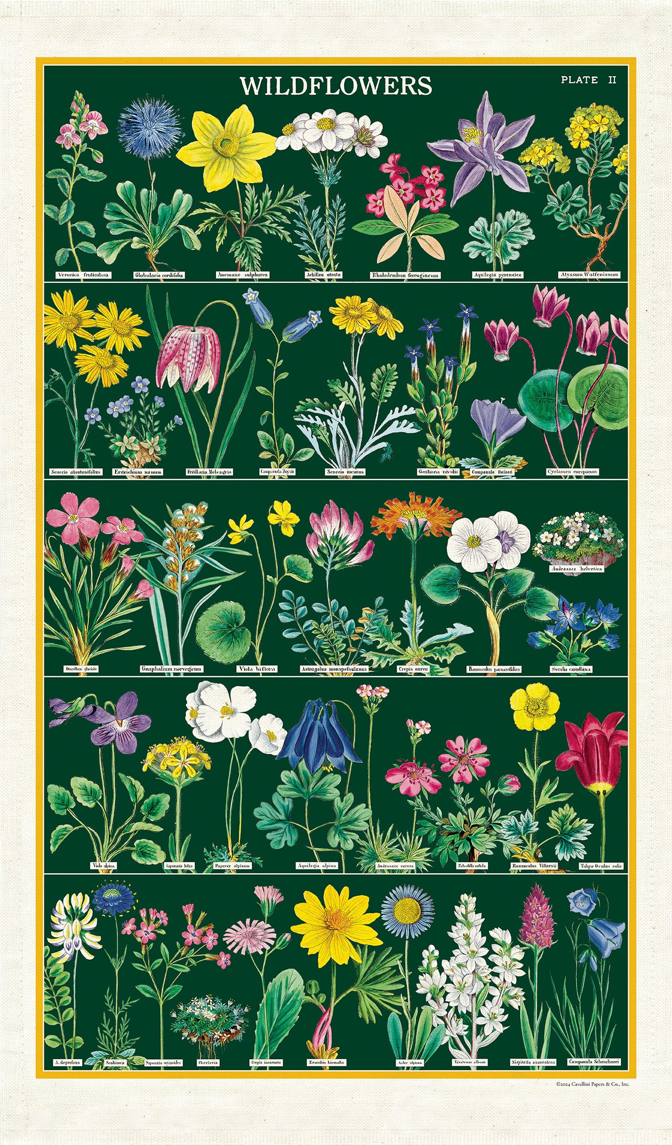 Cavallini & Co. Wildflowers Cotton Tea Towel shown open