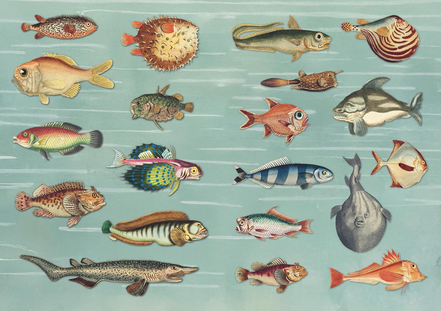 The Curious Collections Sticker Book- example pages of vintage fish stickers