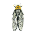 Cicada-shaped brooch with beads and sequins on a white background