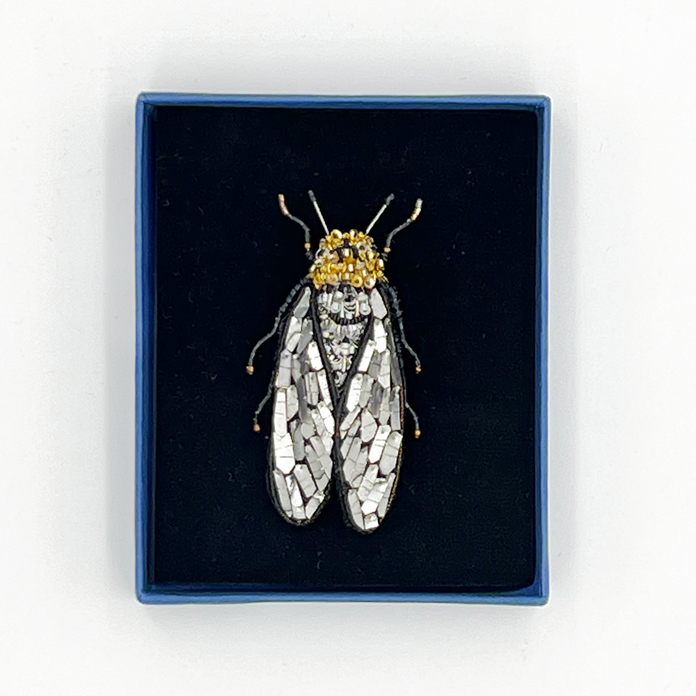 Cicada-shaped brooch with beads and sequins in a blue box with black velvet lining on a white background