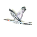 Sanhill Crane in flight beaded brooch with metallic sheen on a white background