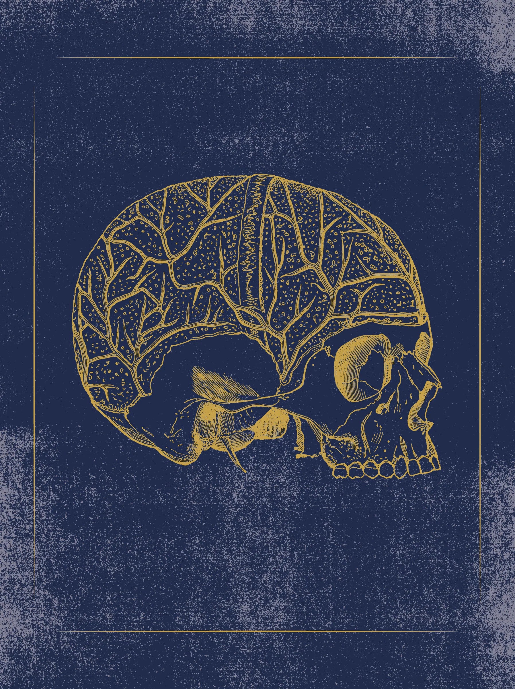 Vintage Anatomy Slipcase Boxed Notecards