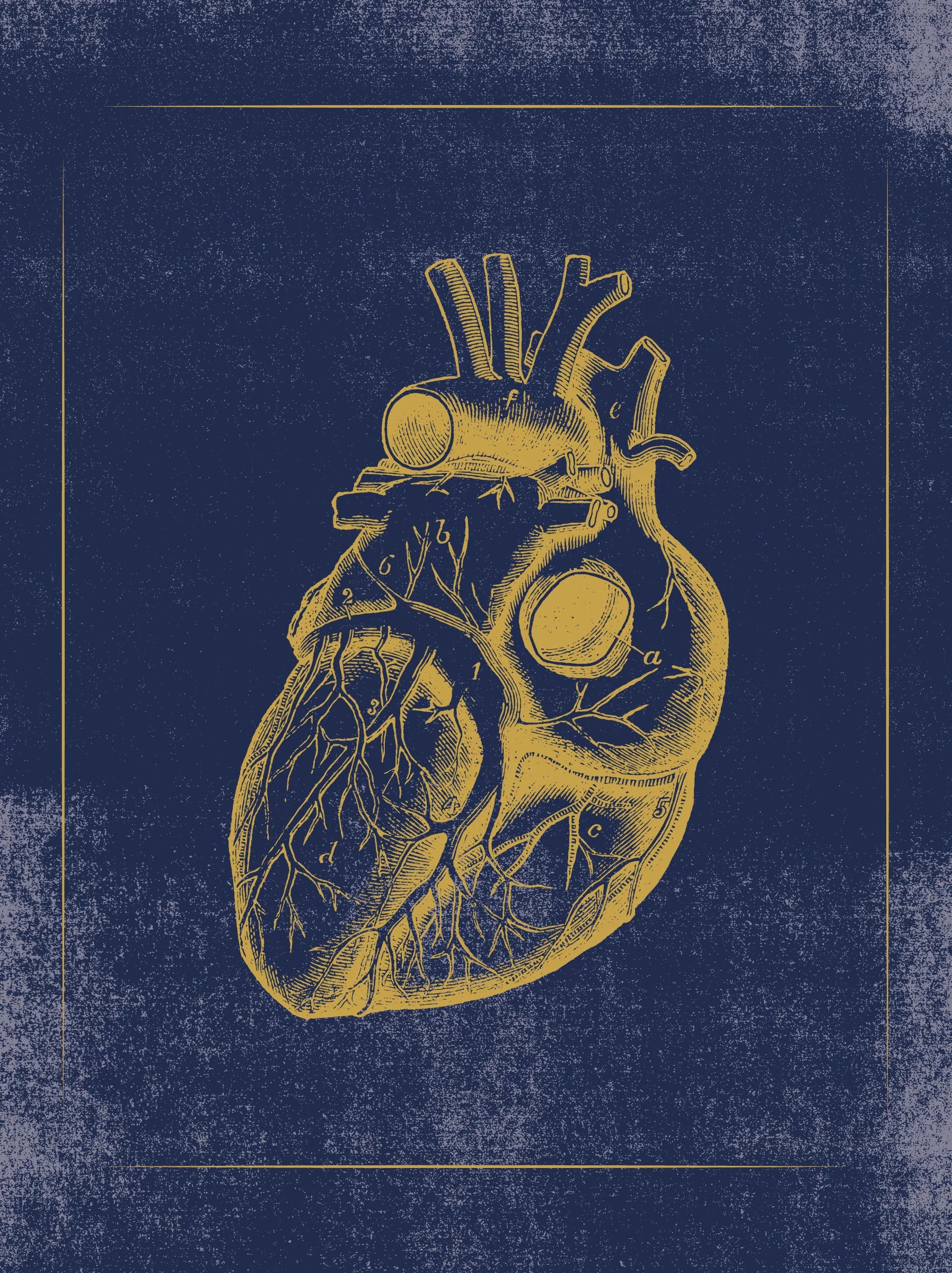 Vintage Anatomy Slipcase Boxed Notecards