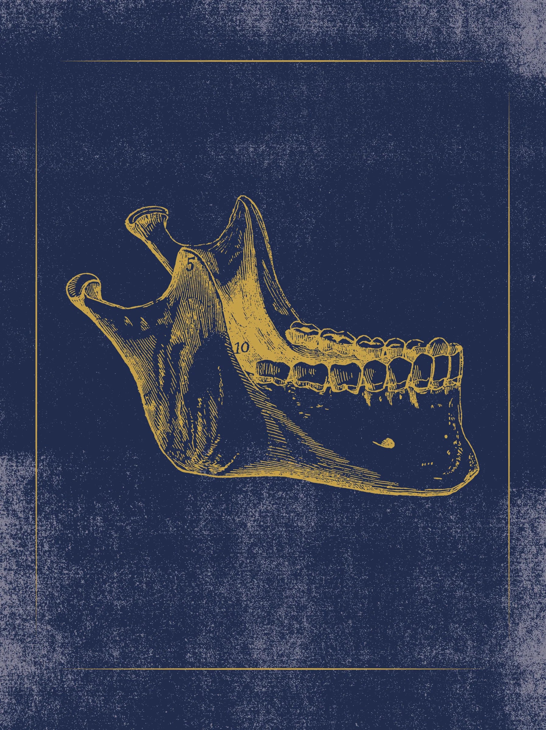 Vintage Anatomy Slipcase Boxed Notecards