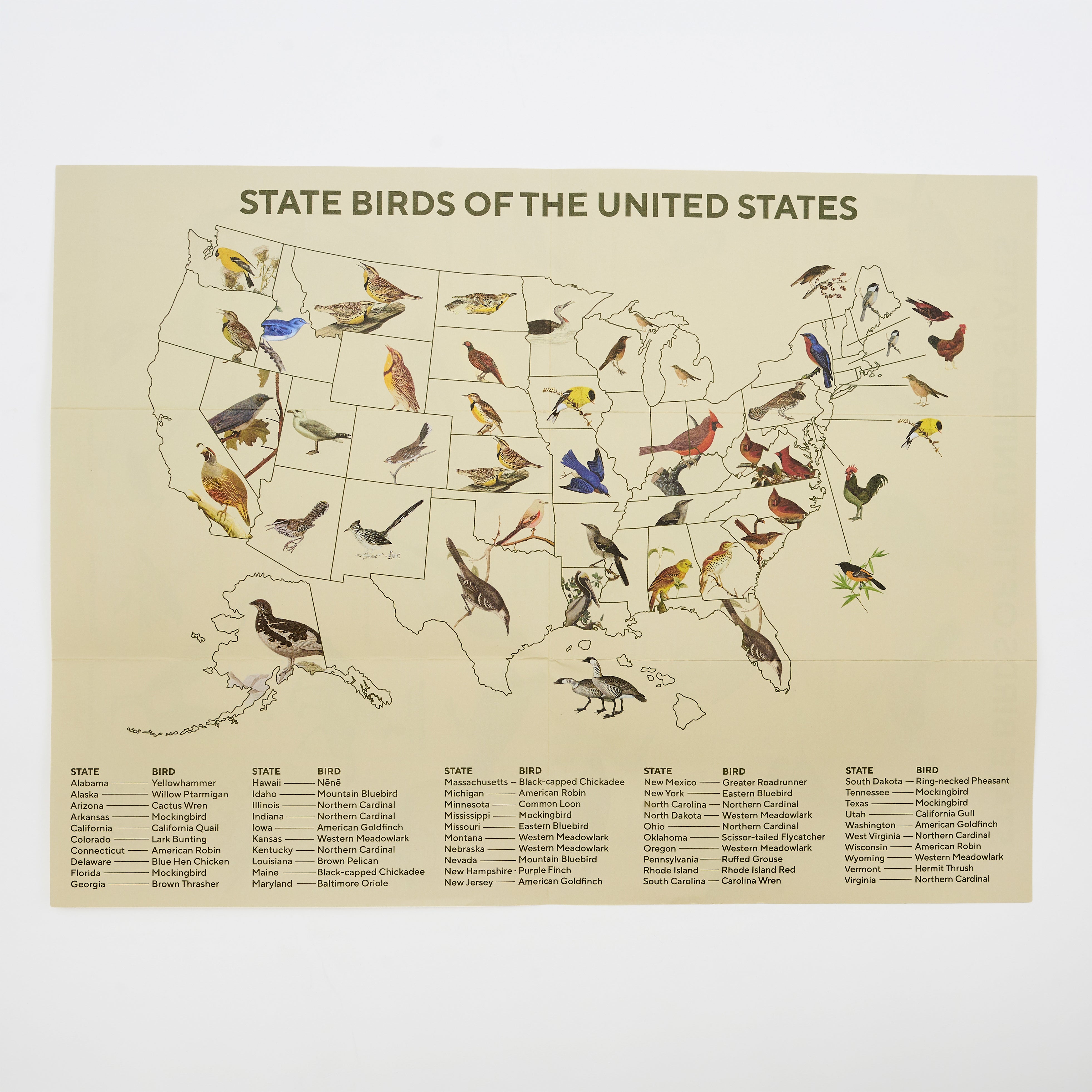 Vintage-style educational poster titled 'STATE BIRDS OF THE UNITED STATES' showing a map of the U.S.