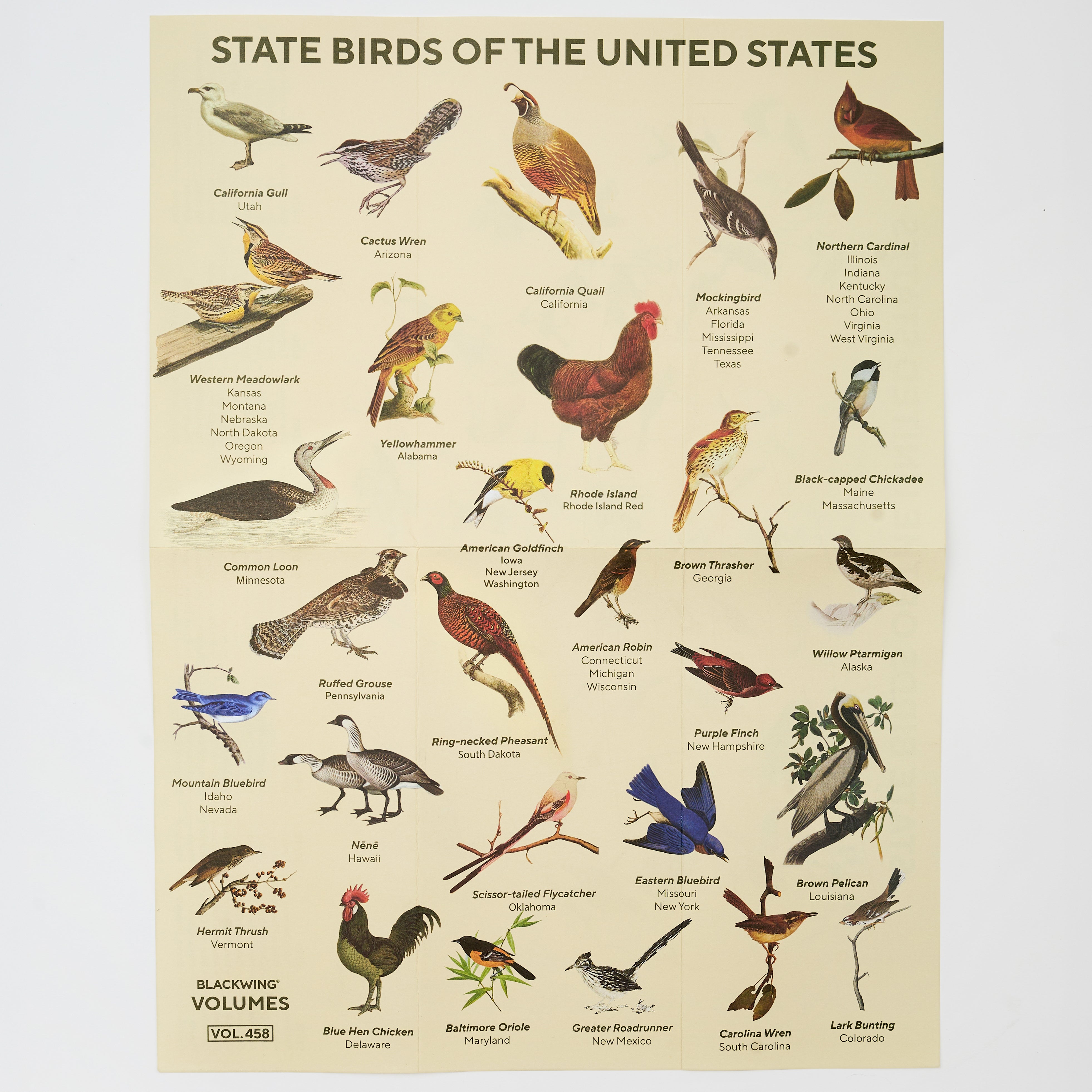 A vintage-style educational poster titled 'STATE BIRDS OF THE UNITED STATES' featuring numerous illustrated birds with their names printed below, on a beige background with 'BLACKWING VOLUMES VOL 458' at the bottom left.