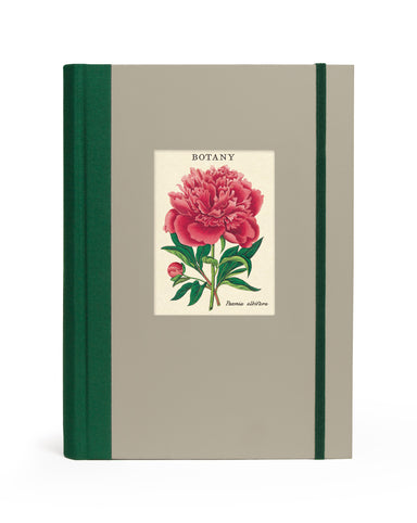 Cavallini & Co. Botany Window Journal- a notebook with a floral designs and 'Botany' text on a beige cover