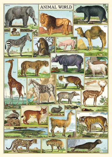 Cavallini & Co. Animals Decorative Paper