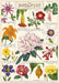 Cavallini & Co. Botanist Decorative Paper