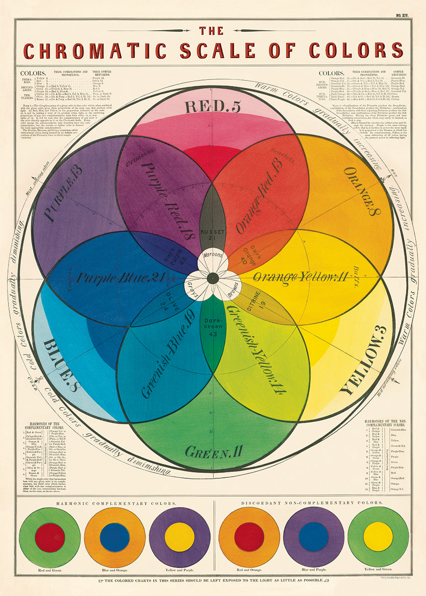 Cavallini & Co. Chromatic Scale Decorative Paper