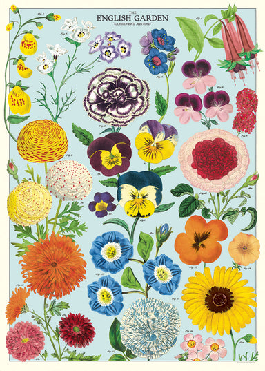 Cavallini & Co. English Garden Decorative Paper- Illustration of flowers with a colorful English garden theme.