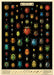 Cavallini & Co. Field Guide to Beetles Decorative Paper- illustrated chart of beetles with colorful depictions on a black background