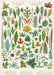 Cavallini & Co. Folia Leaves Decorative Paper