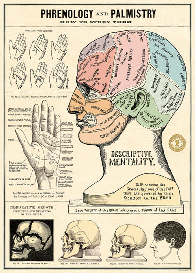 Cavallini & Co. Phrenology and Palmistry Decorative Paper