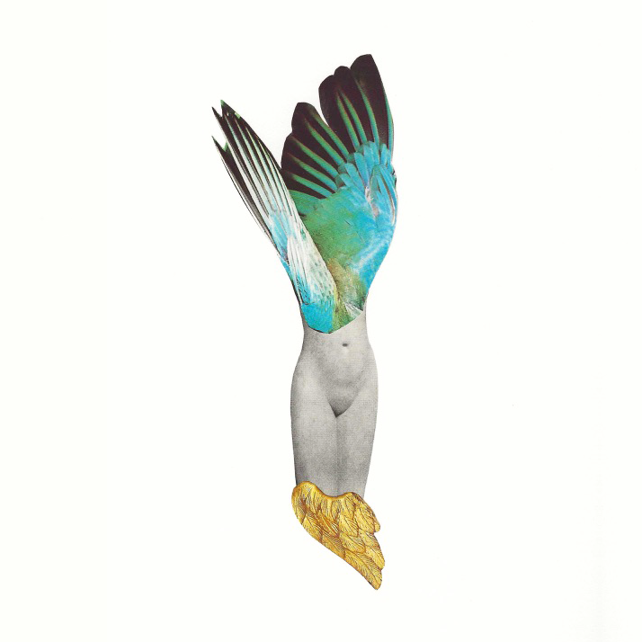 An abstract collage of a human torso with wings, where the upper body transitions into teal and blue feathers, dark wing tips, a gray lower torso, and a gold feathered tail, set against a solid white background.