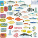 Collection of colorful fish illustrations on a white background