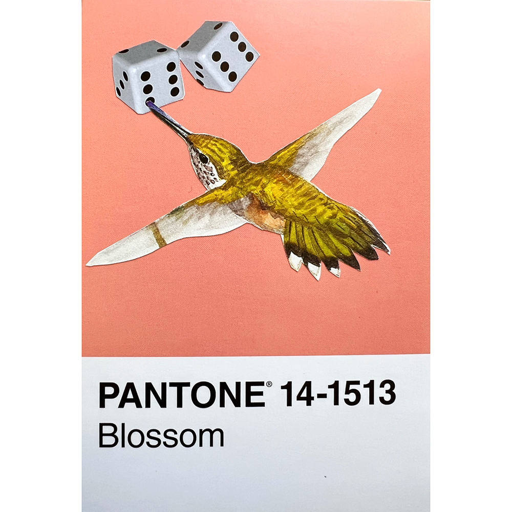 PANTONE Blossom color swatch card featuring a coral pink upper section with two white dice and a paper cutout hummingbird, and a white lower section with the text 'PANTONE 14-1513 Blossom'.