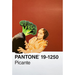 A vintage-style Pantone color card labeled 'PANTONE 19-1250 Picante' on a white background, featuring a warm reddish-brown color field with a retro illustration of a woman and a figure with a broccoli head.