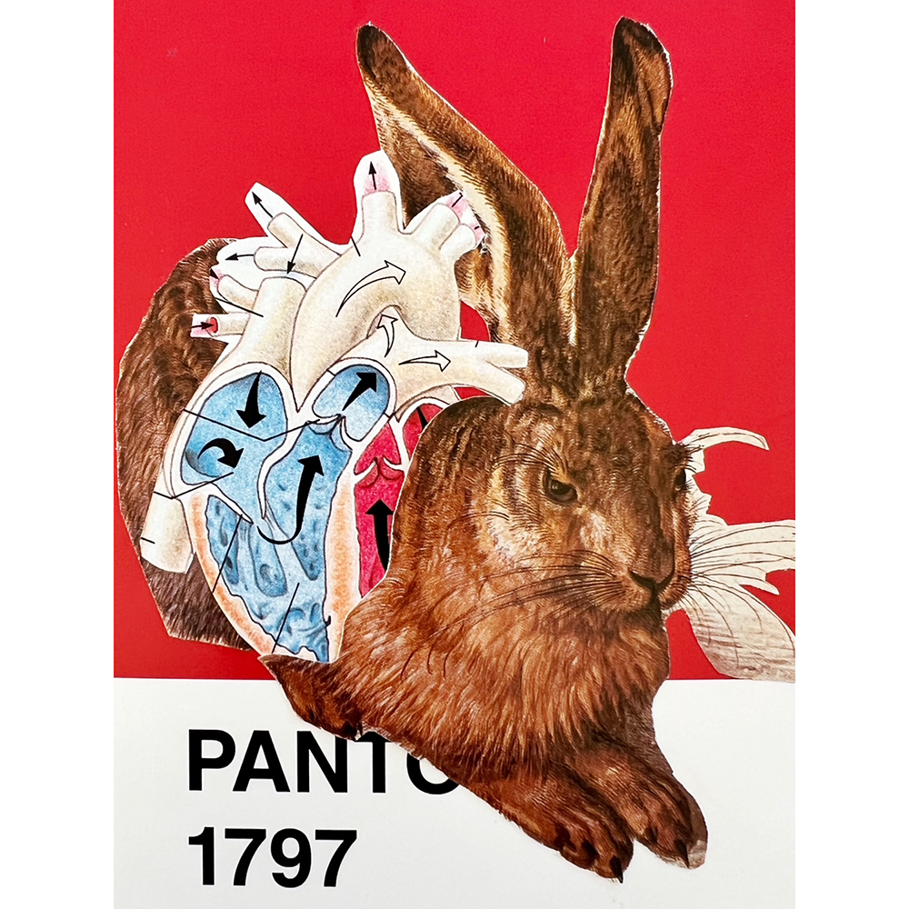 A surreal collage-style artwork showing a brown rabbit in front of a dissected anatomical heart on a red background, with the text 'PANT 1797' at the bottom.