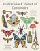 Watercolor Cabinet of Curiosities: Paint Perfectly Peculiar Insects, Antiques & Other Oddities