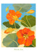 Nasturtium Small Boxed Thank You Cards