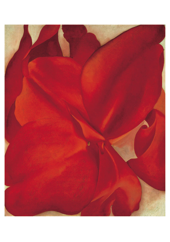 Georgia O'Keeffe Flowers Boxed Notecard Set