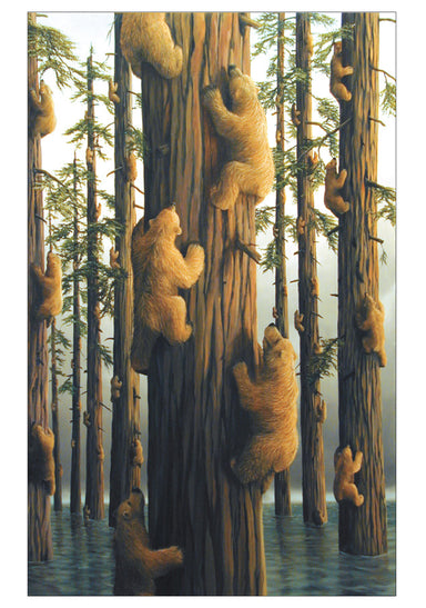 Bears Boxed Notecard Set by Robert Bissell