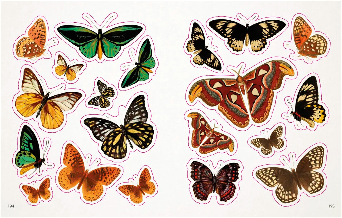 The Bees, Birds, and Butterflies Sticker Anthology