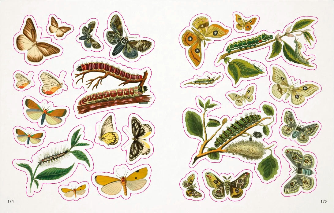 The Bees, Birds, and Butterflies Sticker Anthology