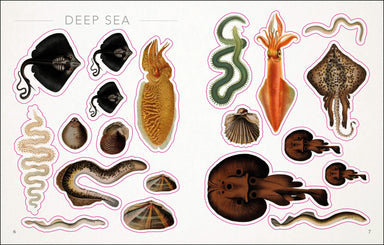 The Seashore Sticker Anthology