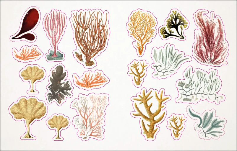 The Seashore Sticker Anthology