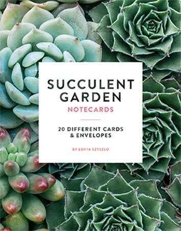 Succulent Garden Notecards