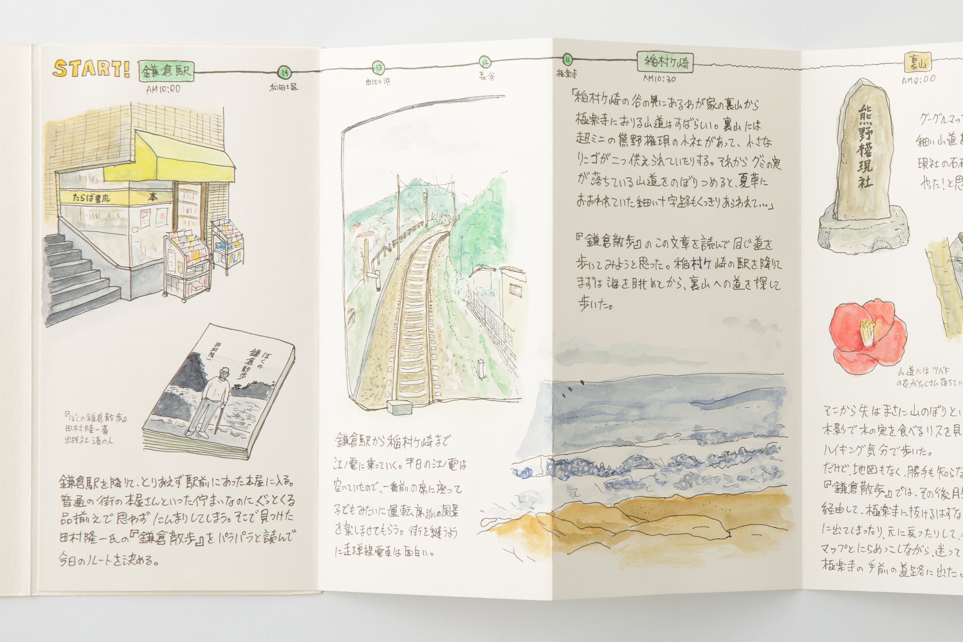 TRAVELER'S notebook Accordion Fold Paper notebook in regular size is now a standard item! 