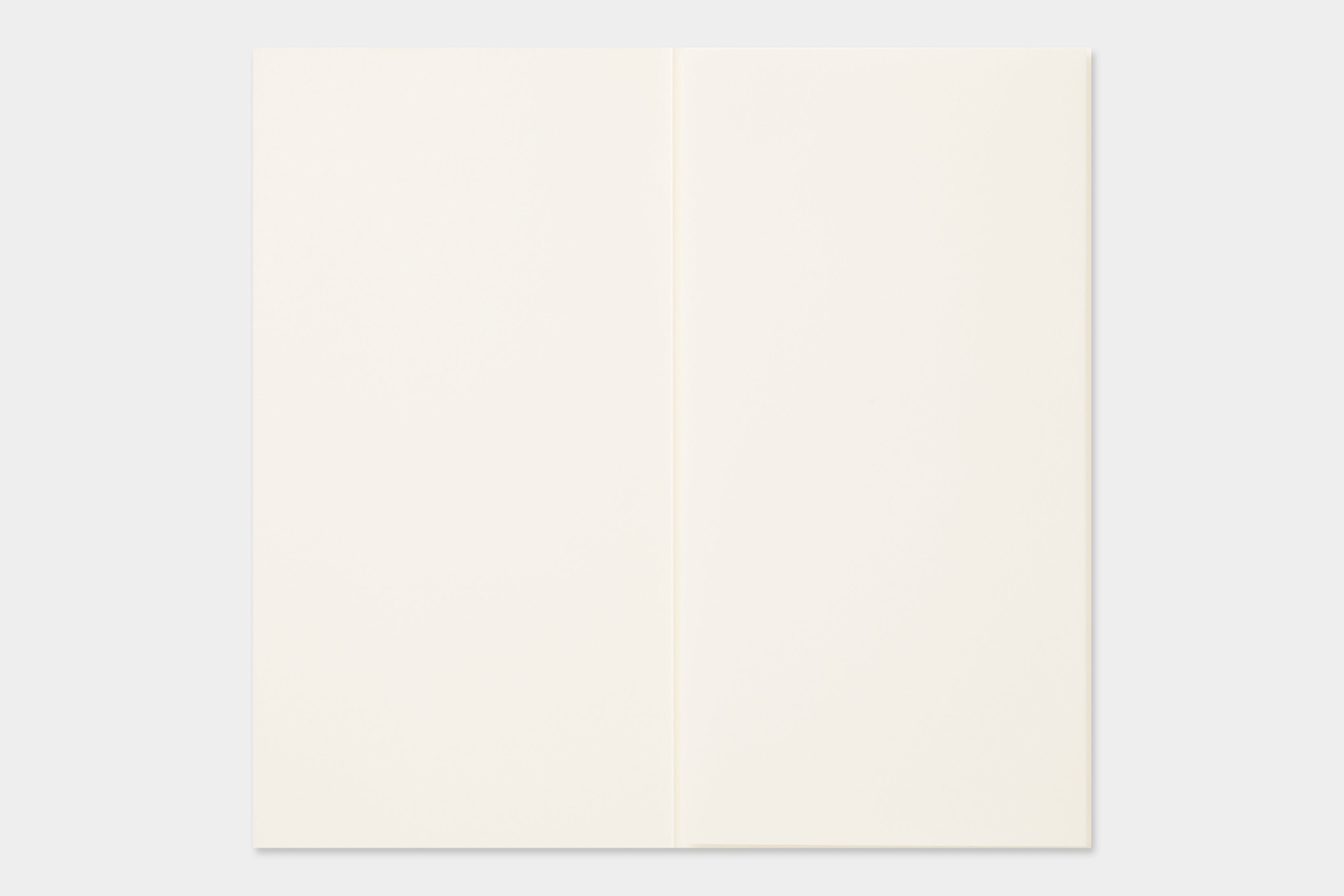 TRAVELER'S notebook Accordion Fold Paper Notebook- Regular Size