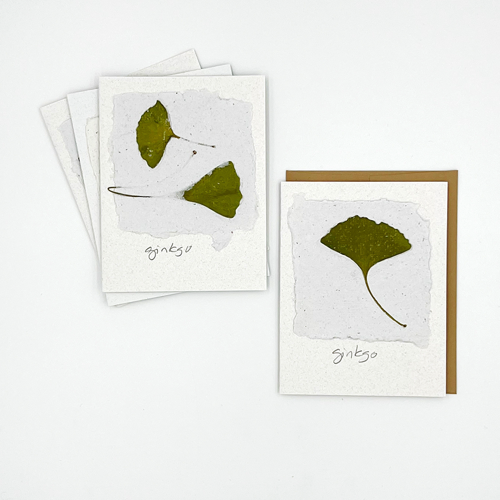 Black Eyed Suzie Designs Pack of Four Cards and Envelopes- Ginkgo Leaves