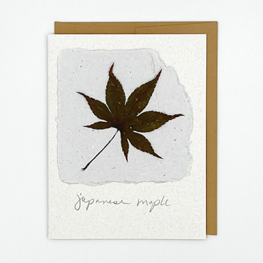 Black Eyed Suzie Designs Pack of Four Cards and Envelopes- Japanese Maple Leaves