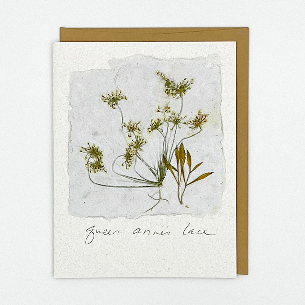 Black Eyed Suzie Designs Pack of Four Cards and Envelopes- Queen Anne's Lace
