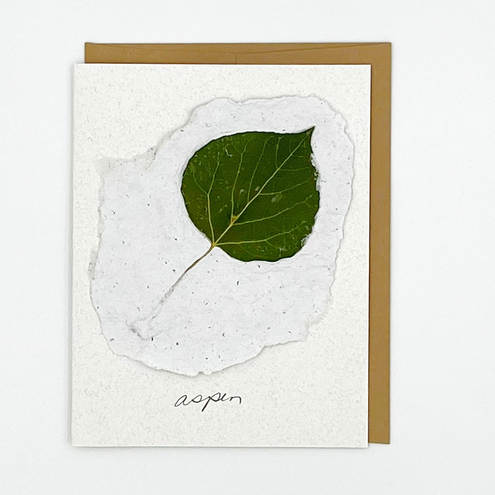 Black Eyed Susie Designs Pack of Four Cards and Envelopes- Aspen Leaves