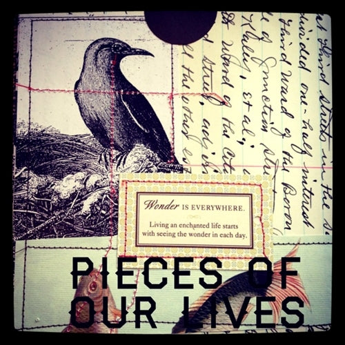 Collage Play Bird and text