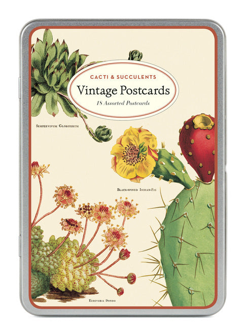 Cacti & Succulents Vintage Postcards by Cavallini & Co.