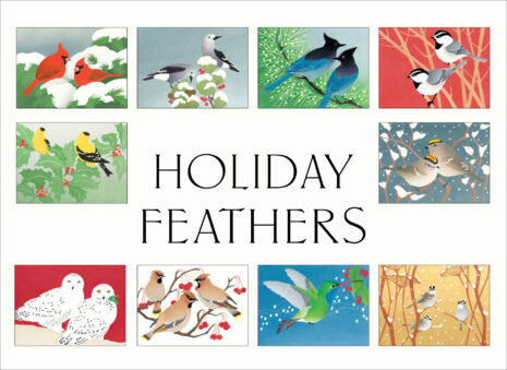 Crane Creek Graphics Holiday Feathers Notecard Folio- set of 10 cards and envelopes