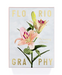 Floriography-  The Meaning of Flowers Card Set