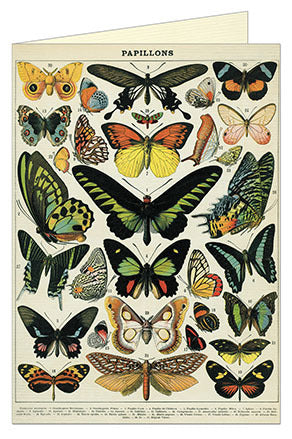 Cavallini & Co. Butterfly Blank Single Greeting Card