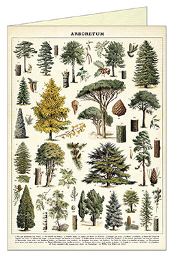 Cavallini & Co. Arboretum Single Greeting Card