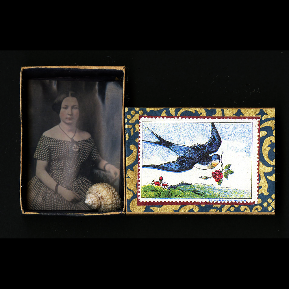 Collage in 3D – Windows on the World class finished project with female portrait and bird