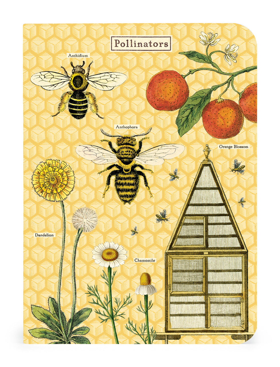 Cavallini & Co. Bees & Honey Mini Notebook Set