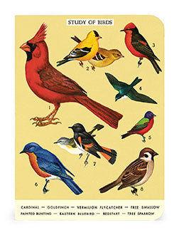 The Cavallini & Co. Bird Watching Mini Notebook Set is a new design for 2022.