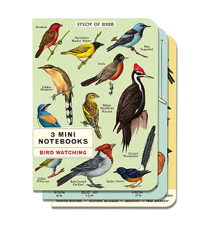 Cavallini & Co. Brid Watching Mini Notebook Set